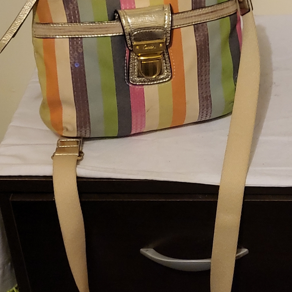 Coach Multicolor Striped Crossbody Bag